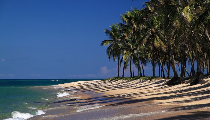 Descobrindo as Belezas do Nordeste Brasileiro Roteiro Imperdível