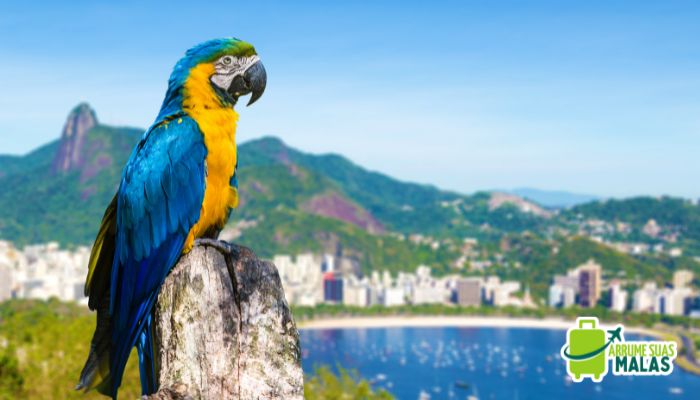 O que Fazer no Rio de Janeiro em 9 Dias - Guia Completo